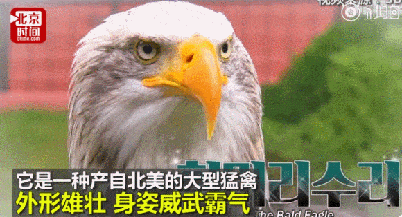 580_314gif 动态图 动图