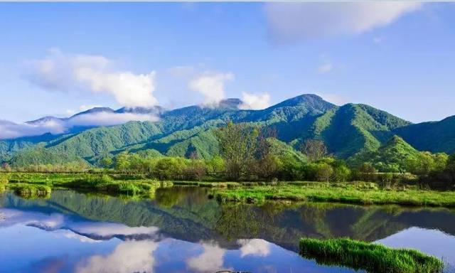 吳太地:神農架大九湖訪古