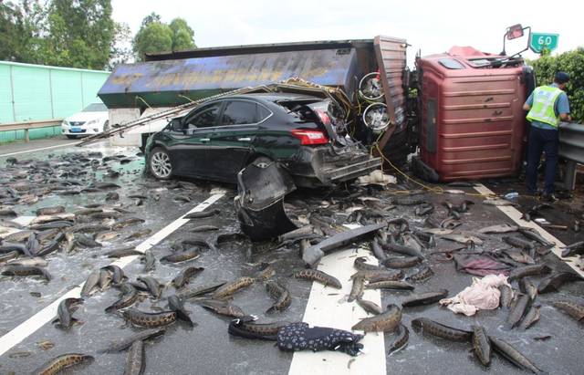 倾泻一地,众人抢救._手机搜狐网