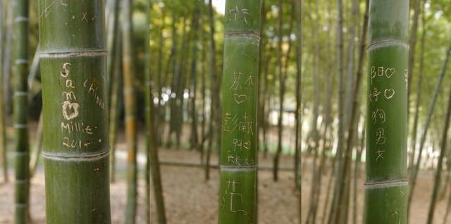 怎样在竹子上刻字,竹子上面怎么刻字简单,雕刻竹子图片大全(第3页)_大山谷图库