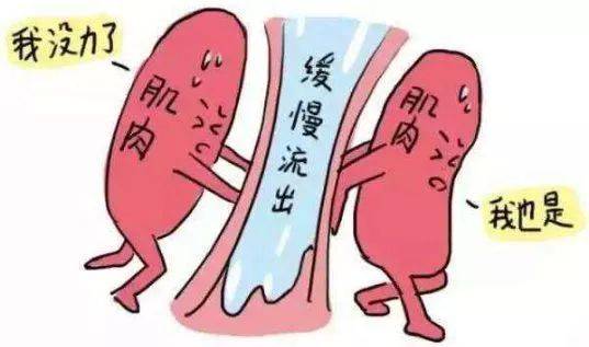 起底产后私密松弛的真实原因骨盆和盆底肌别傻傻分不清