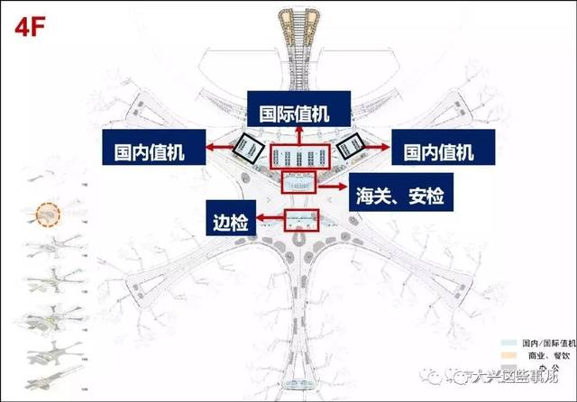 北京大兴机场 平面图图片