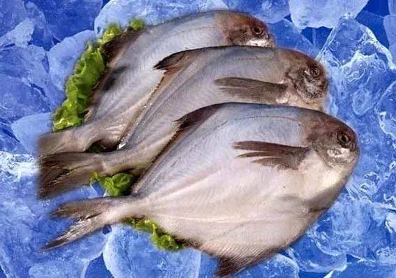 凤尾鱼花蛤4.80元/500g笨鸡鲜鸡蛋4.68元/500g得利斯三叉骨11.