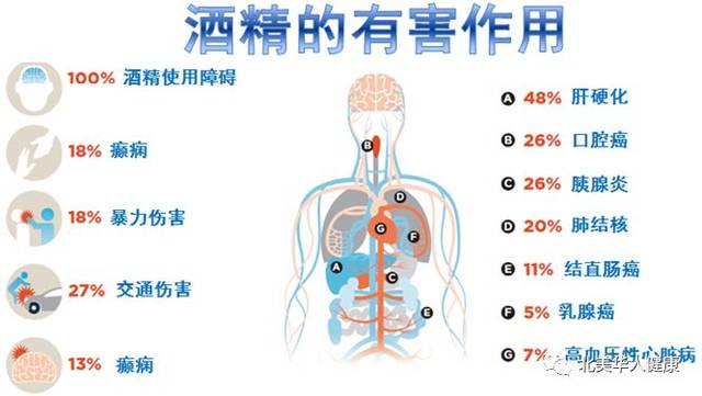 酒后不驾车：让安全出行成为常态