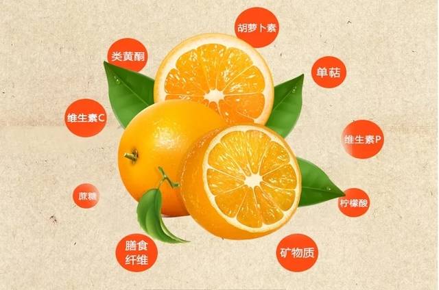 晴隆脐橙介绍图片