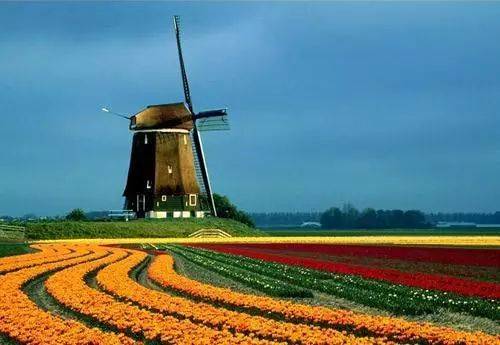 放眼全球--荷兰现代农业发展之谜