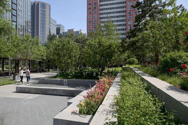 香河园口袋公园 | 城中森林,园中博物馆