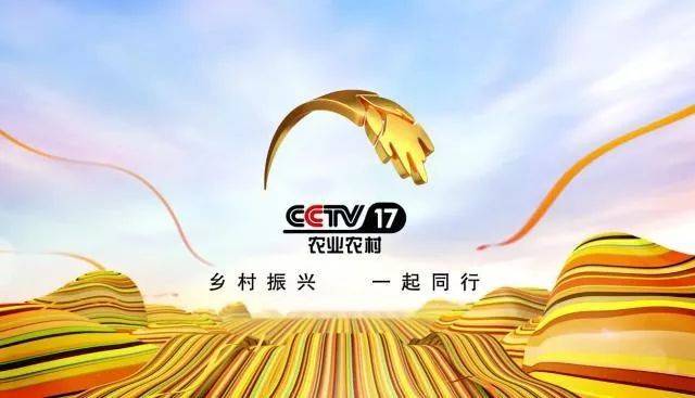央视CCTV-7国防军事频道正式开播,新节目占比