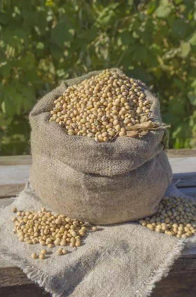 【农业咨讯】"技术革命"巩固巴西大豆大国地位_手机搜狐网