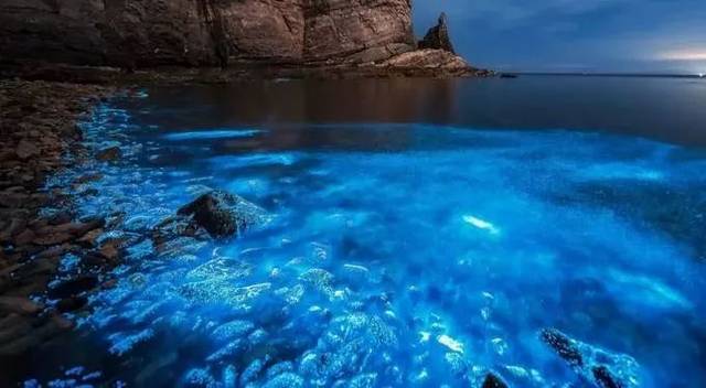 又挖到国内一座小众海岛,一到夏天就变成梦幻荧光海,美到尖叫