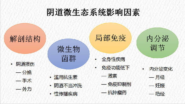 婦科圍手術期感染的預防和處理_手機搜狐網