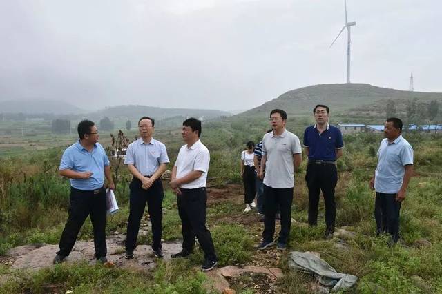 桃园动态肥城市委副书记辛涛到桃园检查指导雨季造林工作