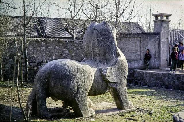 帝陵视野:八十年代的南朝陵墓石刻