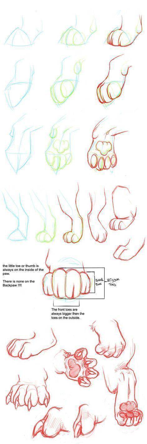【推荐】兽爪,动物爪怎么画?教你如何轻松绘画动物的小爪爪!