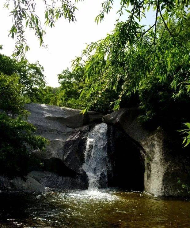 【青山秀水,森林氧吧】洛阳花果山国家森林公园,休闲避暑一日游