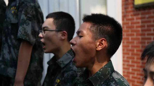 精彩匍匐拳流畅的格斗动作一招一式挥舞的虎虎生威.