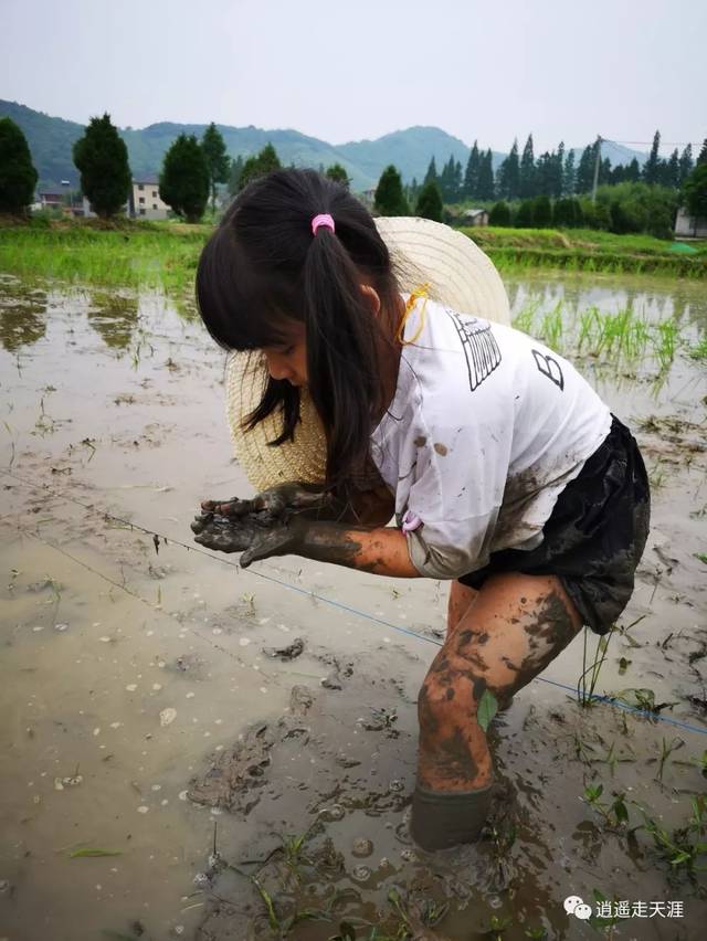 带孩子进这座山,住民宿,识野趣,插秧,摸鱼,包粽子,做竹蜻蜓