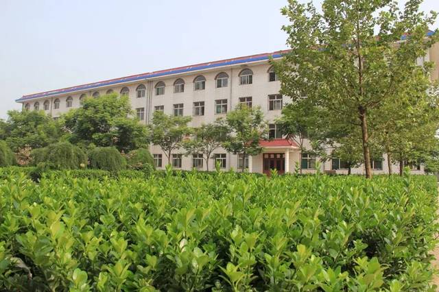 一所农村高中的逆袭看汾城中学如何实现蝶变重生