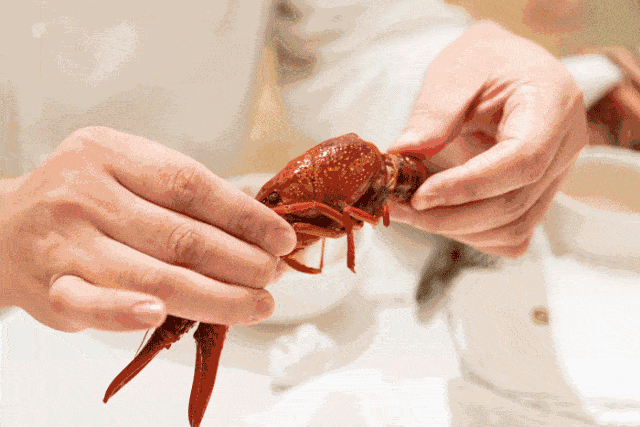 告诉你什么是最快剥虾师,懒熊生鲜便利表演上线