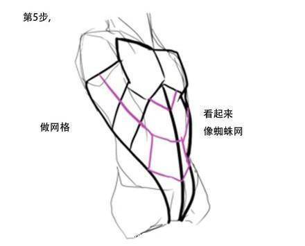 教你如何簡化人物上半身肌肉結構