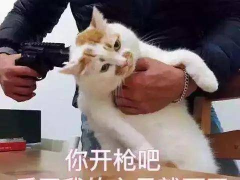 被下架的小H书,还能起死回生吗?