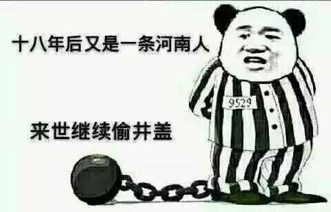 往后,只要有关偷井盖的事件,大家都会第一时间@河南人.