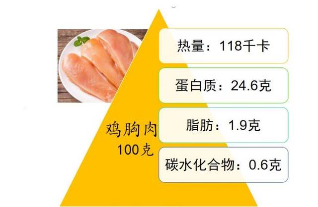 减肥期间推荐的蛋白质肉类食物,美味且热量低