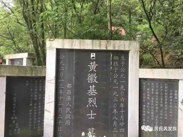 金黄色的记忆,都昌镇金街岭黄姓