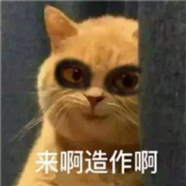 修仙專用表情包,離著熬夜猝死只差一步了!