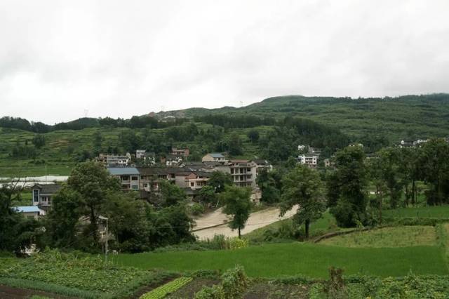 学坝村人是怎样炼成的 学坝村 伟平网