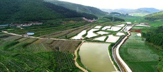 朱家场镇大兴村:一个深度贫困村的华丽蜕变