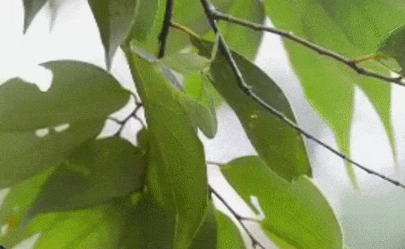 587_361gif 动态图 动图