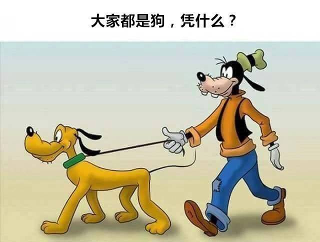大家都是狗类为什么高飞可以溜布鲁托