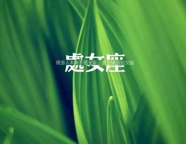 双鱼天蝎天秤处女双子狮子8.12~8.18周运|走适