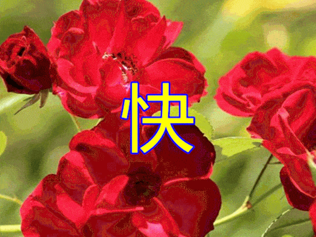 送你一份平安,一份健康,一份快乐,一份幸福,祝你幸福安康