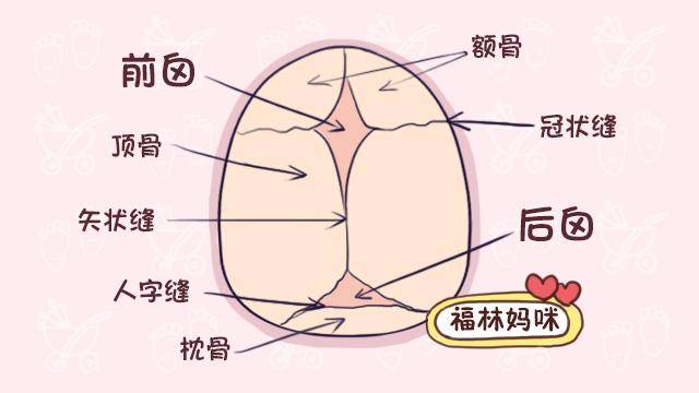 囟门闭合时间影响宝宝智商和发育!什么时候闭合,对宝宝最好?