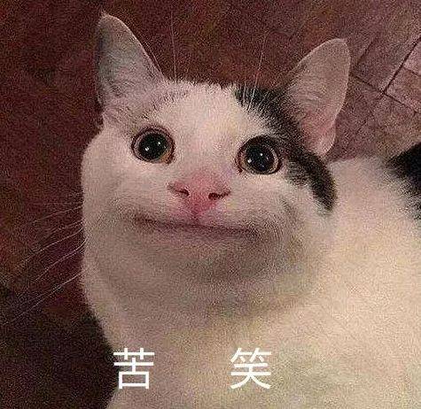 猫咪苦笑表情包图片