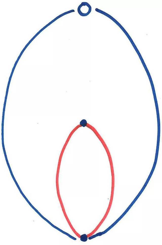 明的西塔潘猜想为什么重要? | 从紧致性定理谈