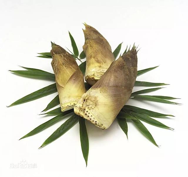 福建省建宁"溪源明笋"获国家地理标志证明商标_手机搜狐网