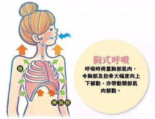 但是在训练过程中,过度的胸式呼吸会动用斜角肌,斜方肌,肩胛