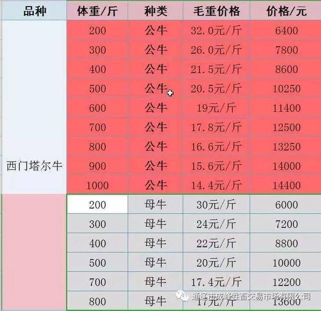 活牛价格