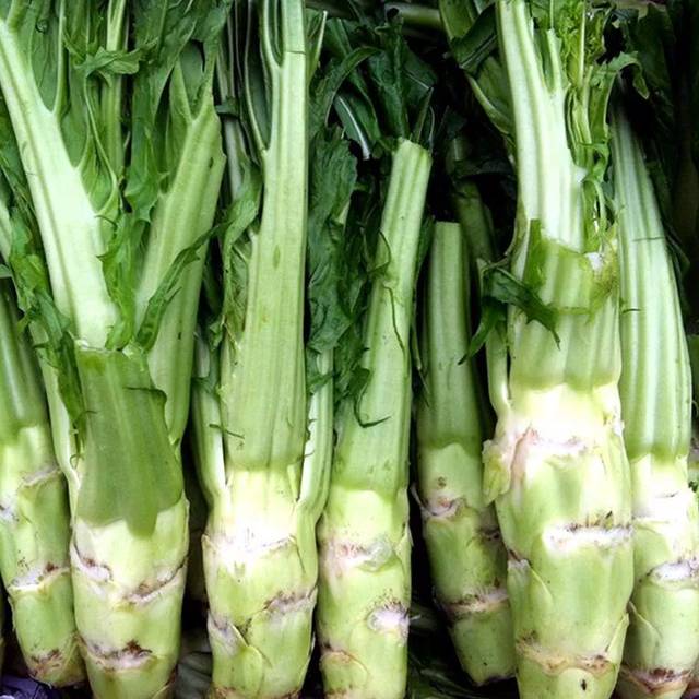 大陆人吃不起榨菜我国最早的榨菜是什么时候出现的