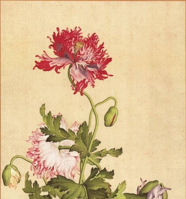 乾隆宫廷花鸟画——迎合帝王审美，尝试中西合璧_西方