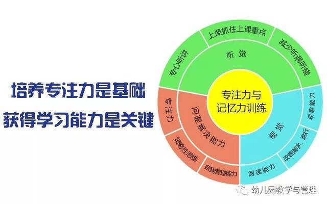 学习能力测评：推动教育改革与个性化发展