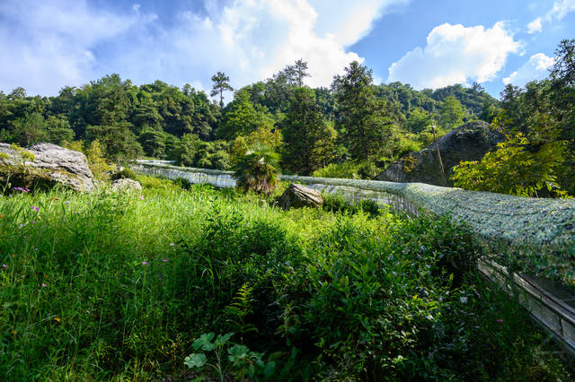 華東大裂谷,安徽寧國最著名的旅遊景點,通體封閉如世外桃源