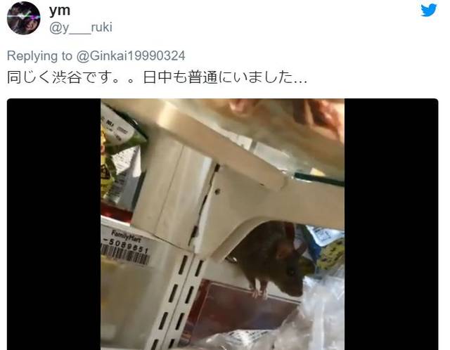 日本涩谷街头卫生糟糕,一家便利店居然直接成