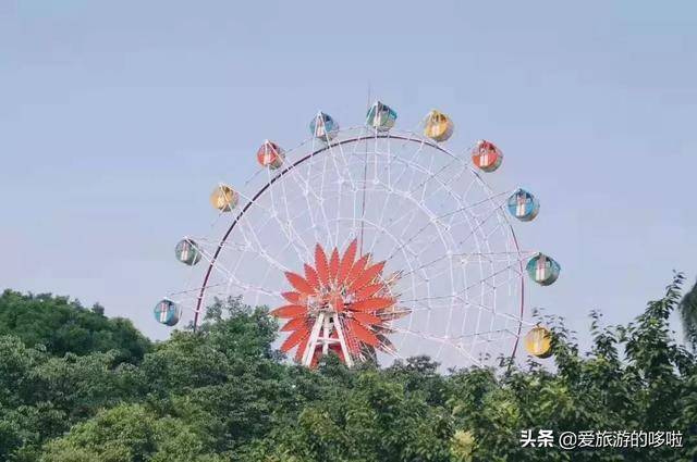 甘棠湖天边升起的那一刻起,意味着新的一天来临了;去南山公园散散步跳