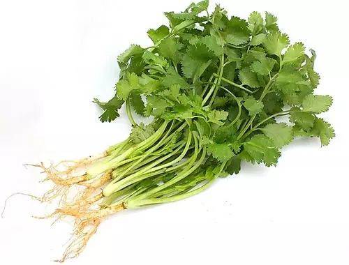 香菜,亦名胡荽,芫荽,香荽,延荽菜.取名香菜,是因其香气独特而浓郁.
