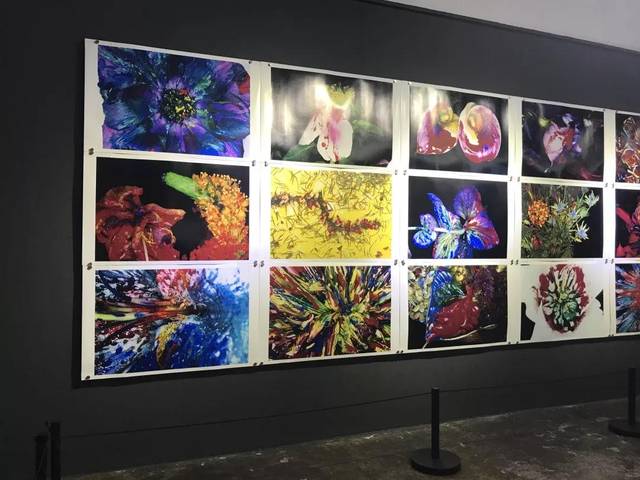 荒木经惟:一场关于"我"的谋杀