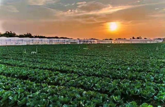 新发展!赣州传统农业正在加快向现代农业转变